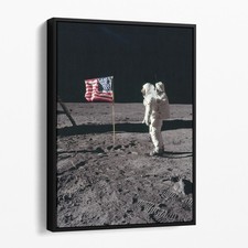 Buzz aldrin salutes the - aldrin,