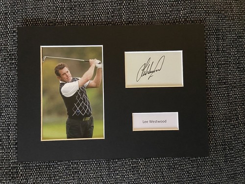Lee westwood ryder - westwood,