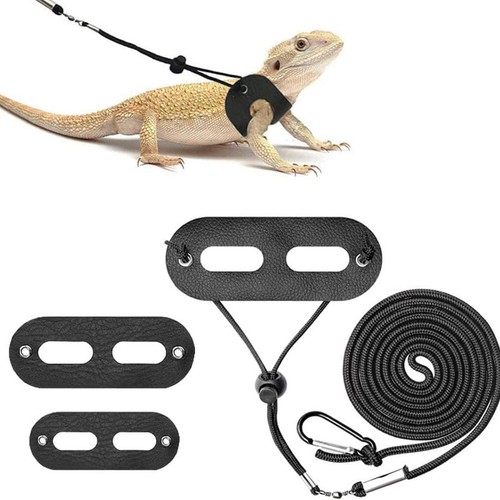 Accessories for reptiles - accessories,