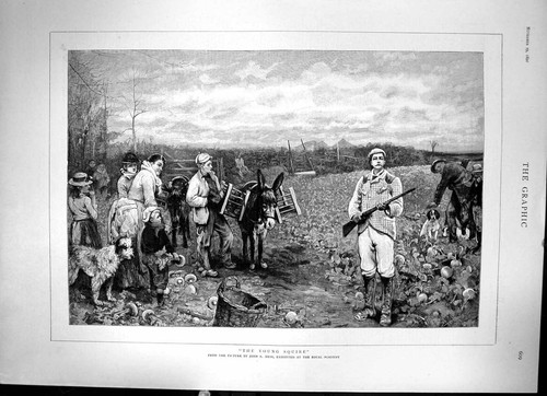 Old print the young squire - old,
