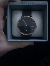 Skagen Men's Stainless Steel