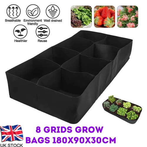Large plant grow - large,