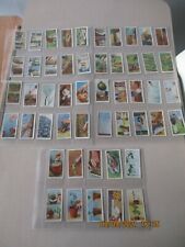 WD & HO Wills Garden Hints 1938 Full Set 50 cards in plastic sleeves