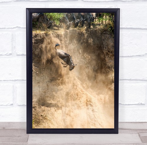Down there wildebeest jump - wildebeest,