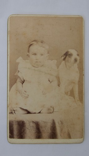 Cdv victorian infant - cdv,