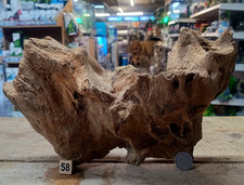 Derwen oak bogwood 54cm - derwen,