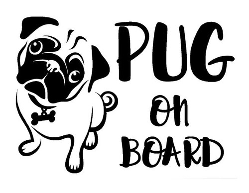 Pug board car - pug,