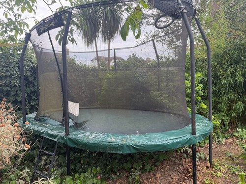 10ft oval jump king - x, ultra