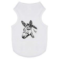 Donkey portrait pet dog - portrait',