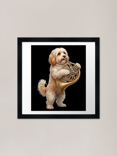 Havanese playing french horn - havanese,