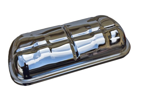 Bus transporter beetle - /,