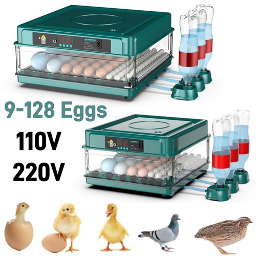 128 eggs automatic - eggs, egg