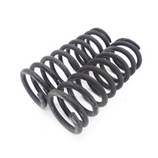 springs spring 2x rear