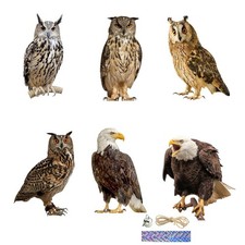 Flat bird repel scarecrow - scarecrow, owl