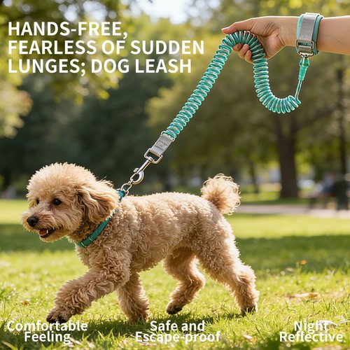 Dog outdoor traction rope - dog,