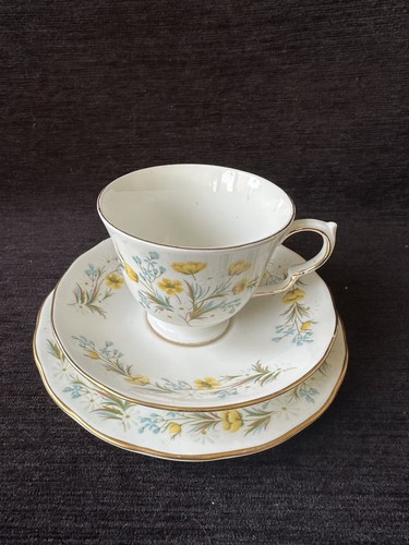 Colclough bone china tea cup - bone,