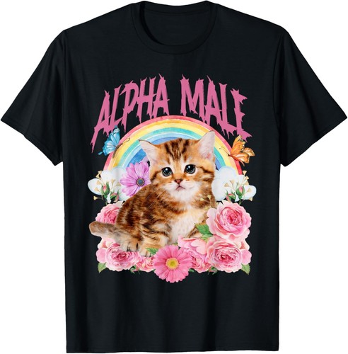 Funny cat kitten rainbow - funny,