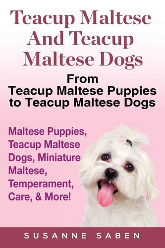 Teacup maltese and - teacup,