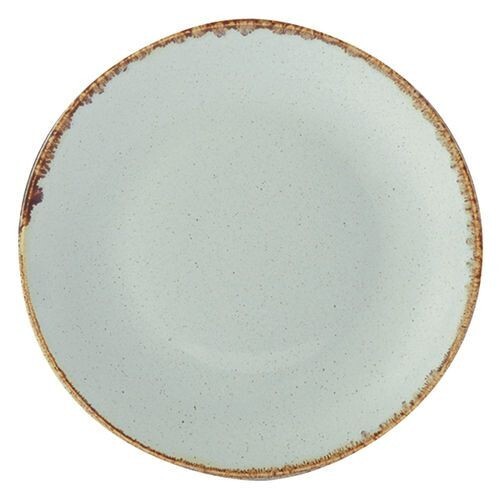 Dinner coupe plate 30cm - dinner,