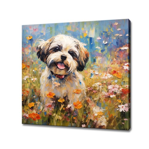 Shih tzu dog - shih,