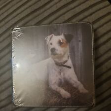 Set of 4 Square Coasters - Jack Russell Terrier Puppy Dog Pet  #16304