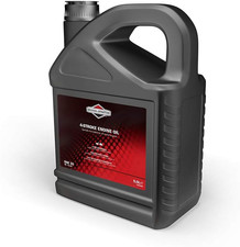 Briggs & Stratton 100004E