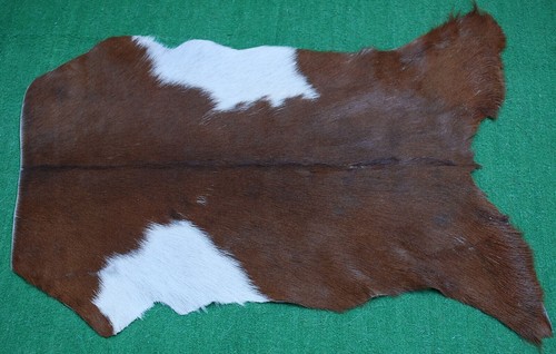 Genuine goat hide - genuine, hair