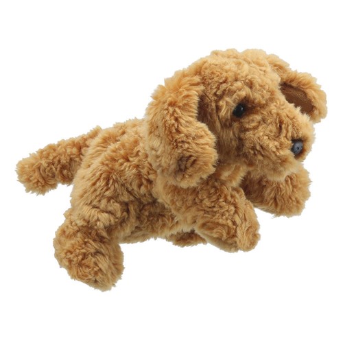 Cockapoo puppet cockapoos - puppet,