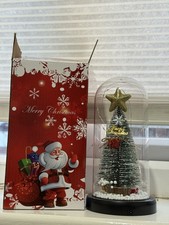 Indoor Light Up Christmas