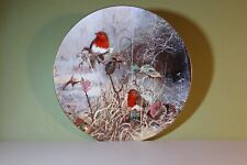 Vintage Robin Redbreast Frosty