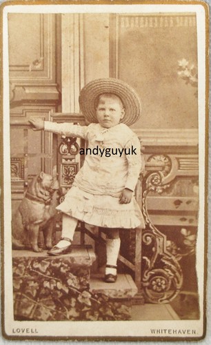 Cdv boy dress dog statue - dress,
