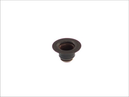 Fits corteco co19036300 valve - co19036300,