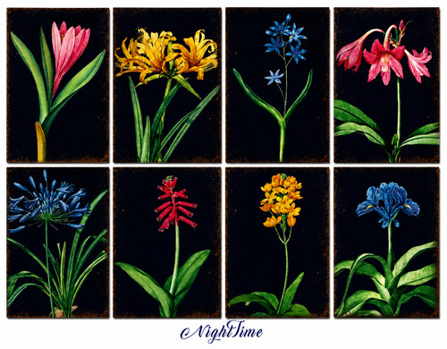 Vintage botanical scrapbook - vintage,