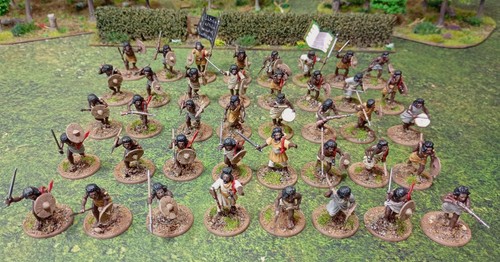 Painted 28mm perry miniatures