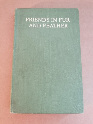 Friends fur and feather - friends,