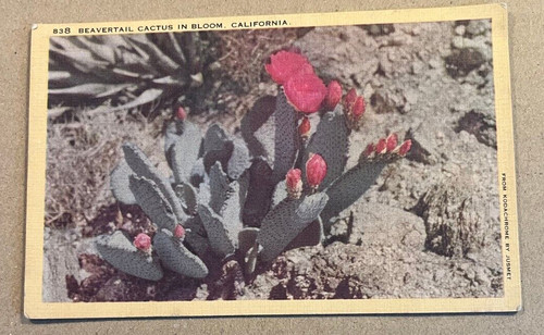 Linen postcard 1944 - postcard,