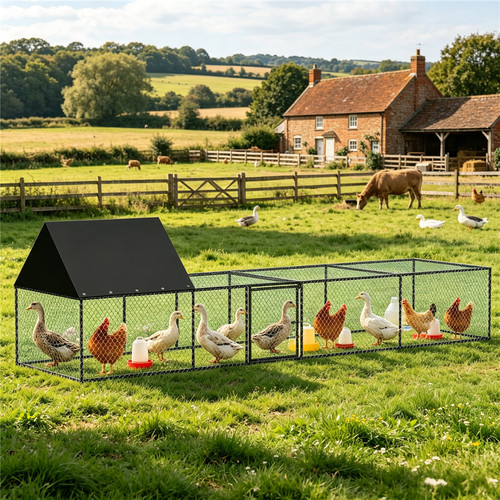 Metal chicken run - metal,