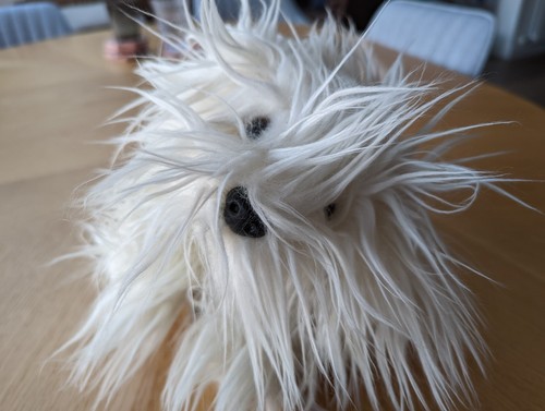 Dulux dog official - dulux, 10"