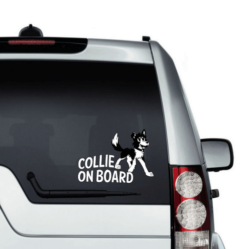 English border collie car - english,