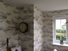 1 ROLL OF HARLEQUIN AMAZILIA