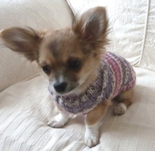 8" Hand Knitted Fairisle Chihuahua  Puppy Small Dog Tea Cup. Jumper Coat.