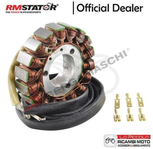 Stator alternator magnet - rm,