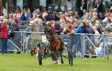 Photo 12x8 The South of