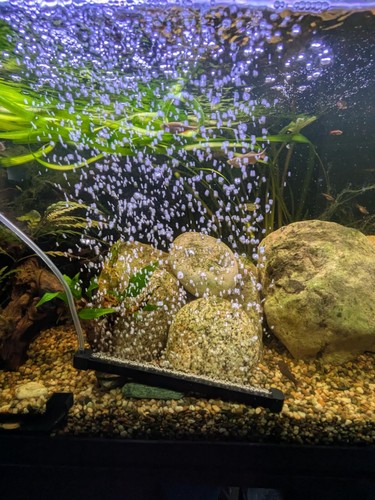Fish tank air - bubbler, 60cm