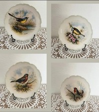 Royal Albert The Woodland Birds Collection Set of 4 Plates