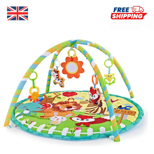 Baby play mat activity gym - play,