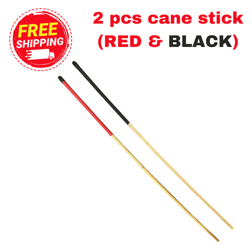 Rattan scholastic punishment - scholastic,