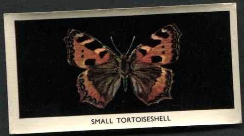Tobacco card godfrey - tobacco, card,