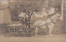 Horse Carriage Man White