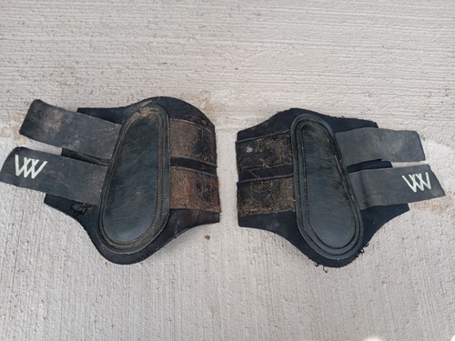 Woof wear brushing boots - wear,